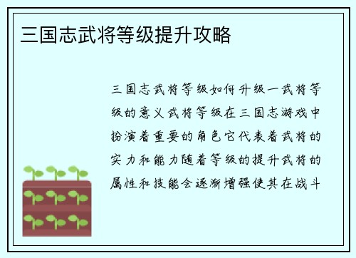 三国志武将等级提升攻略